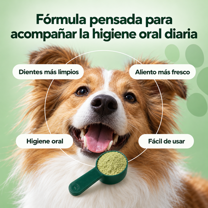 Polvo Dental Anti-Sarro Para Perros